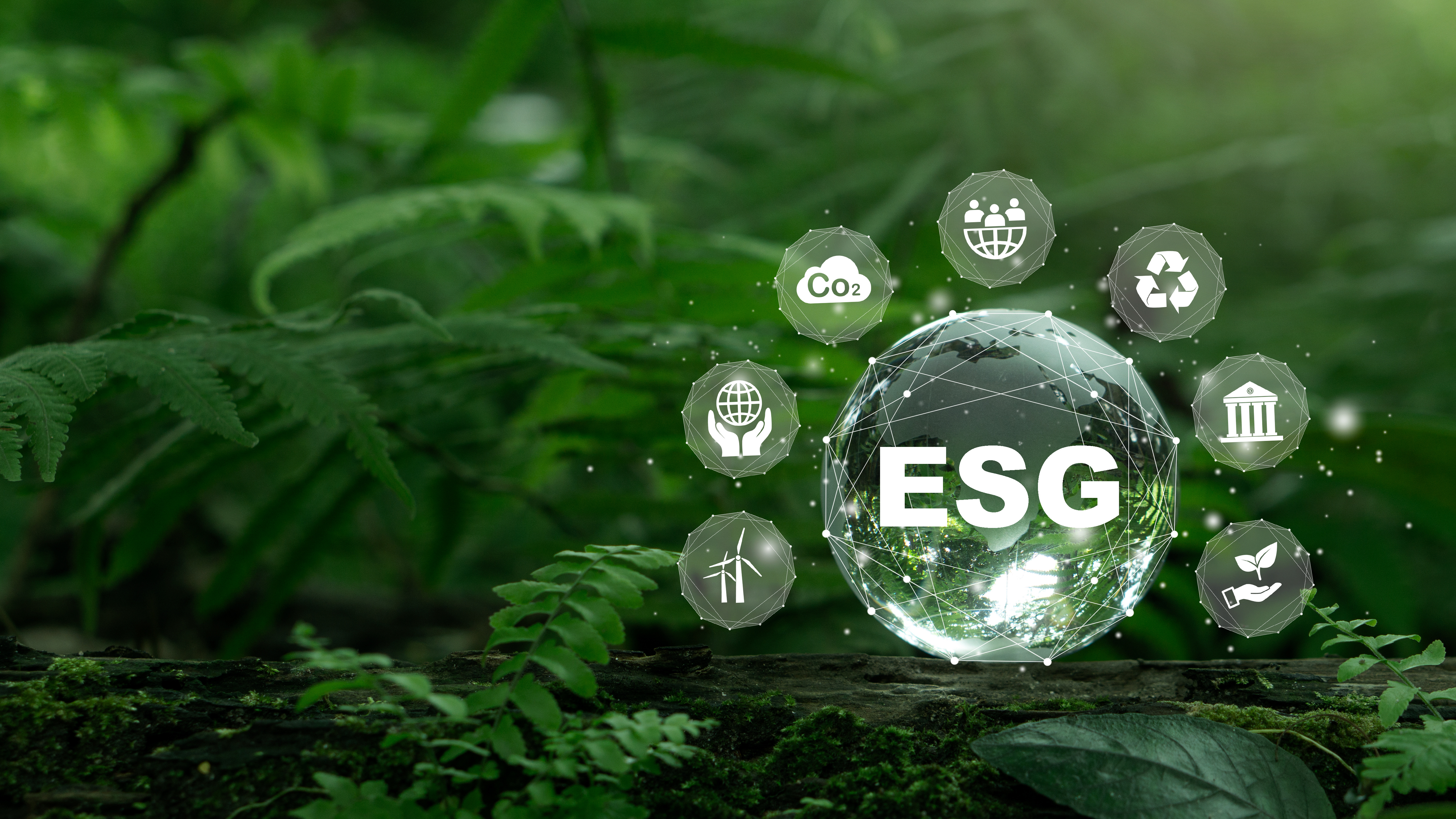 ESG Consulting